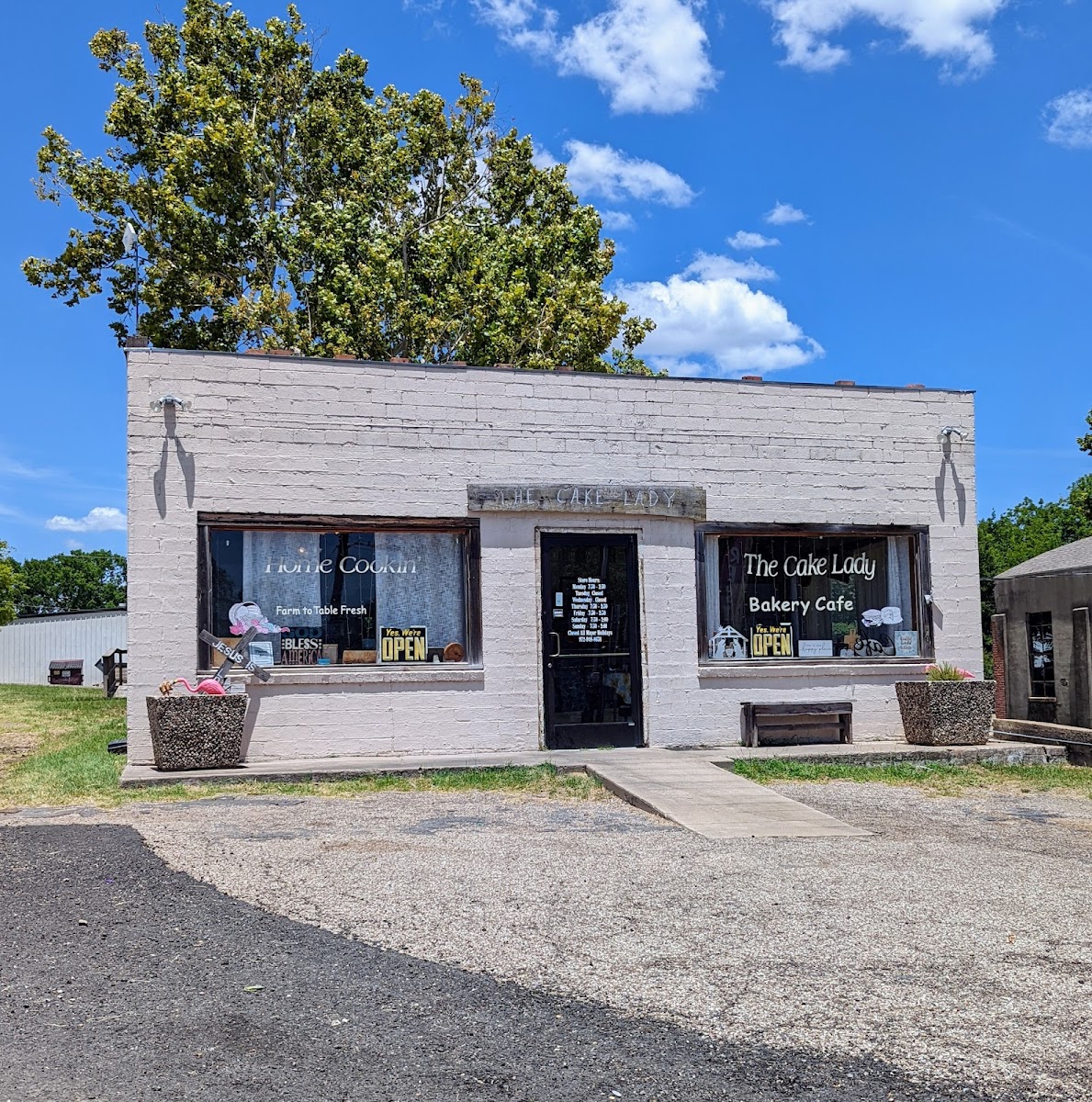 The Cake Lady Bakery Cafe Photos 2
